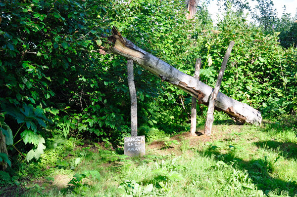 dangerous log display